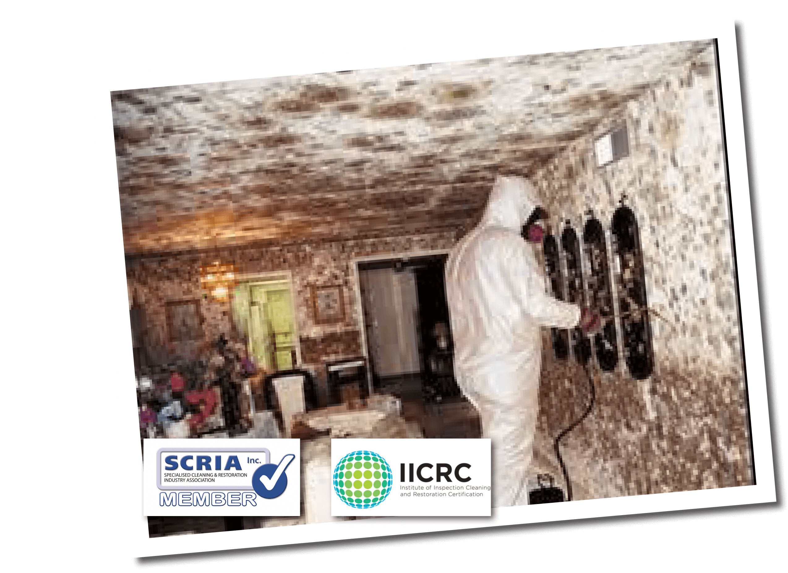 mould remediation