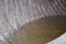 damaged ducts