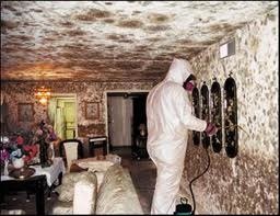 mould remediation