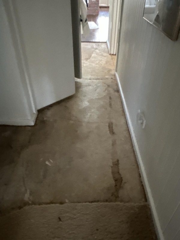 Carpet Unsalvageable 2
