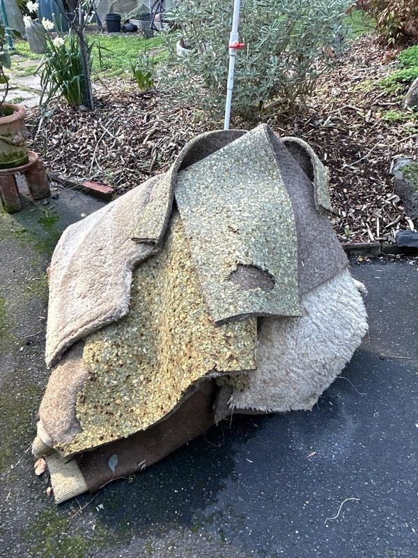 Carpet Unsalvageable 3