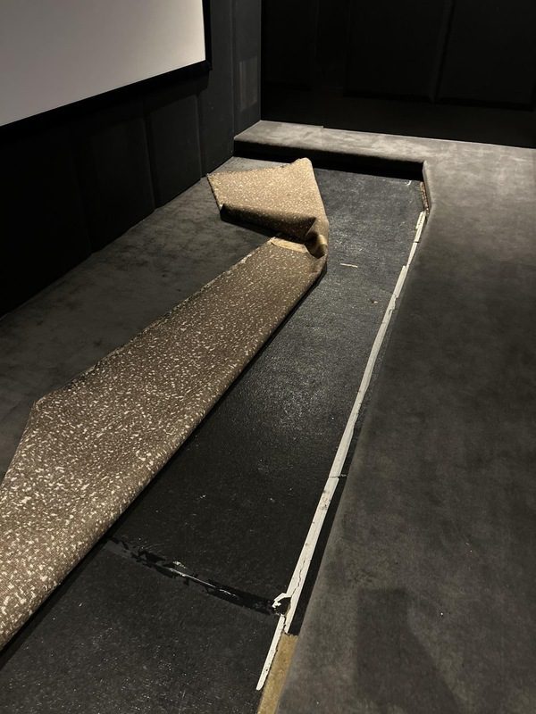 Carpet Unsalvageable