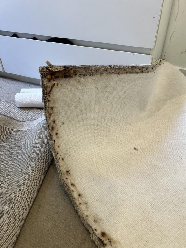 Carpet removal before and after 3