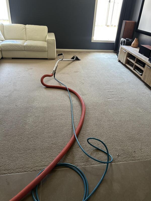 Carpet steam clean