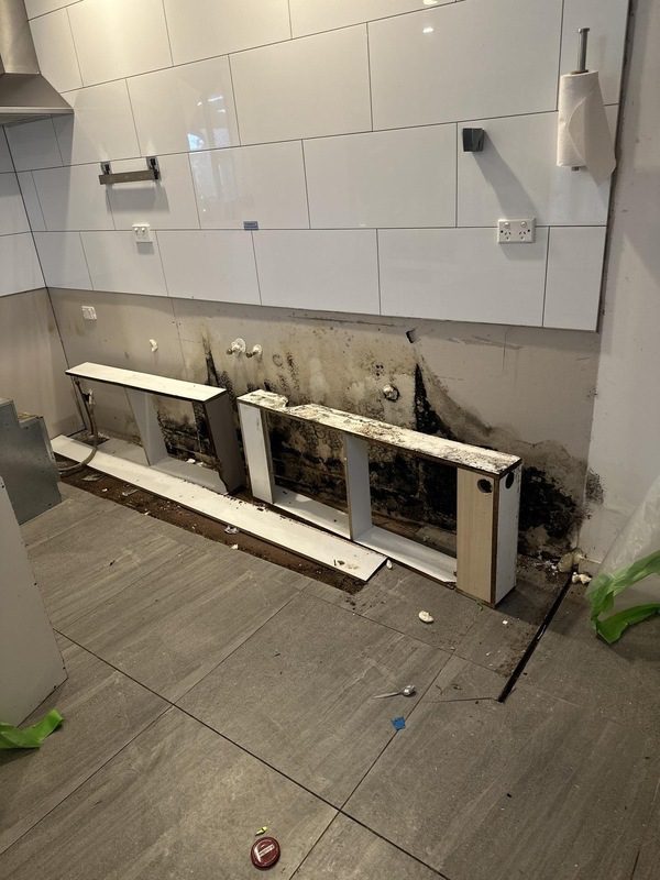 Major mould remediation before and after 2