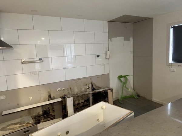Major mould remediation before and after 3
