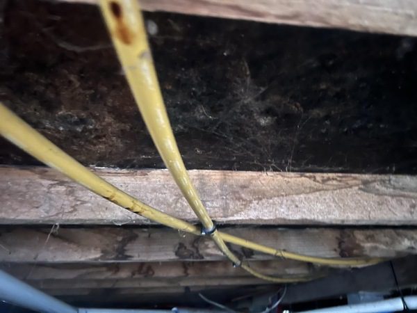 Major mould remediation before and after 5