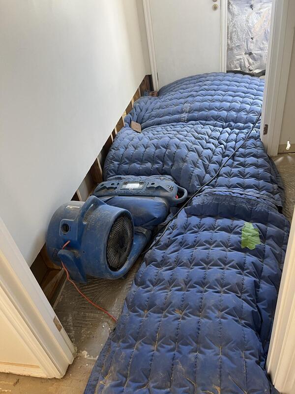 Structural drying to remove hidden moisture trapped deep inside walls, timber floors, subfloor and timber framing 13