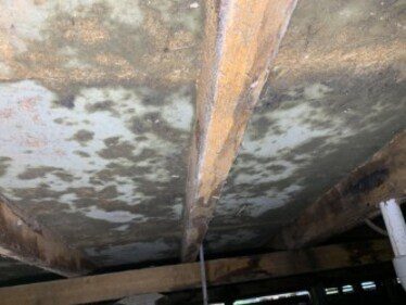 Visual mould identified on chipboard subfloor 4